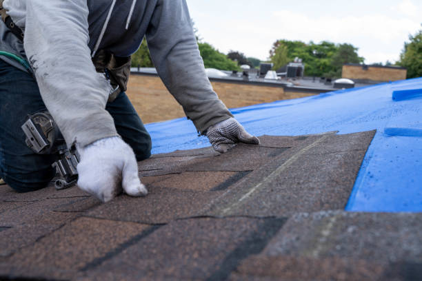 Best Roof Waterproofing Services  in Wilson, WY
