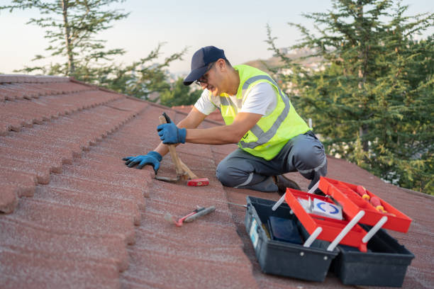 Best Shingle Roofing Installation  in Wilson, WY
