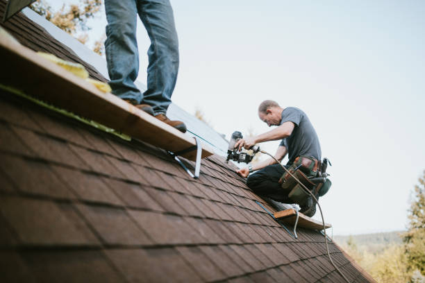 Best Roof Restoration Services  in Wilson, WY